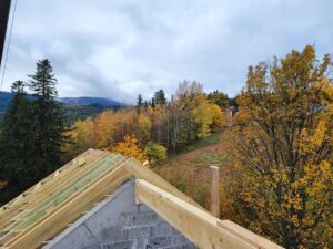 IMG 20221019 162930 300x225