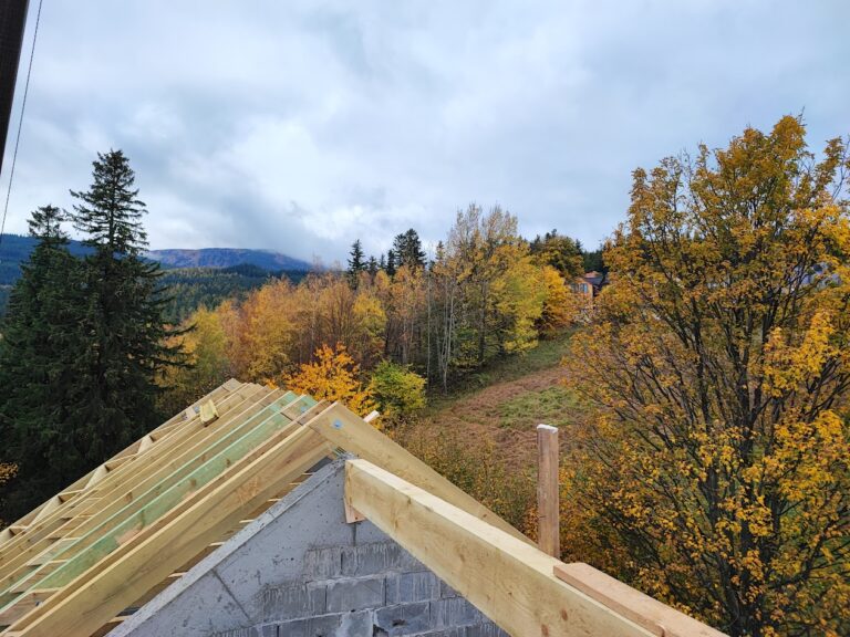 IMG 20221019 162930 768x576