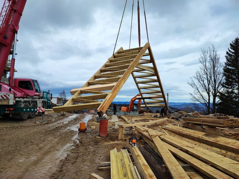 IMG 20230111 125509 768x576